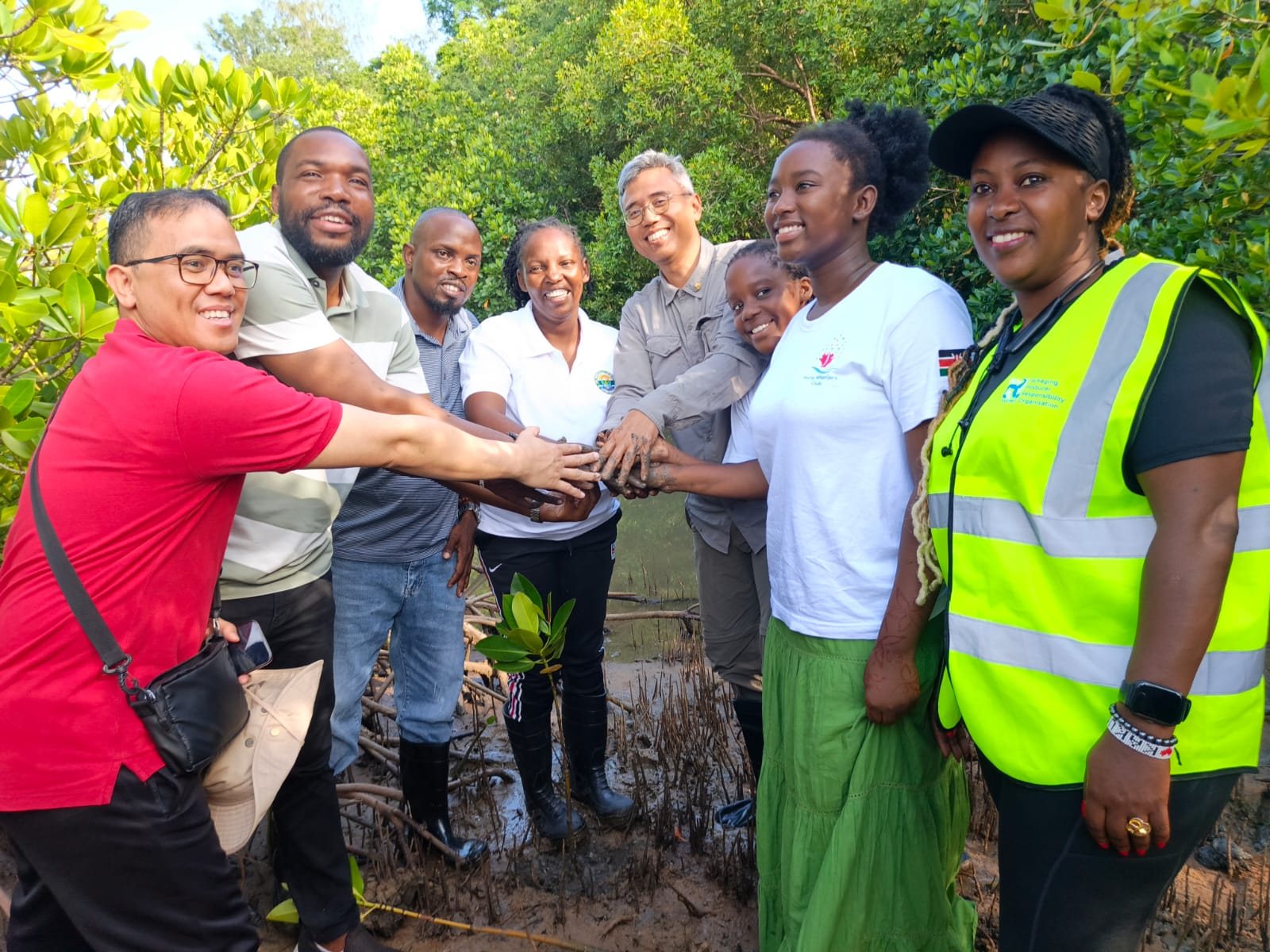 Leaders from different countries stacking their hands together in a mangrove during a planting