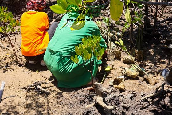Twende Green Planet – 014