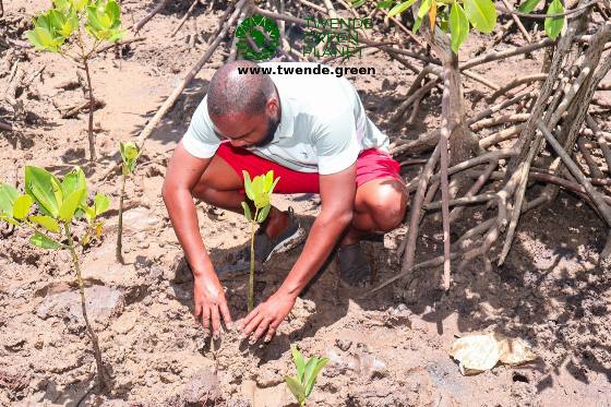 Twende Green Planet – 018