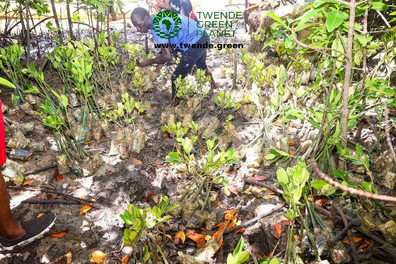 Twende Green Planet – 020