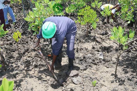 Twende Green Planet – 024