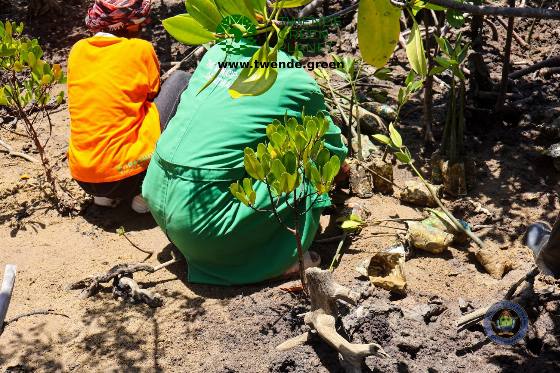 Twende Green Planet – 041