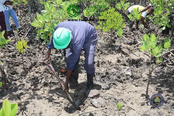 Twende Green Planet – 072