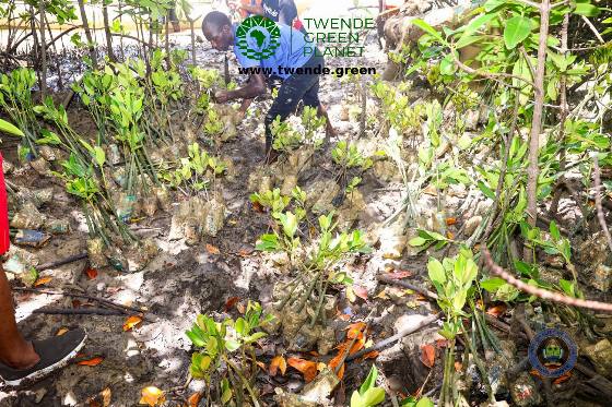 Twende Green Planet – 073
