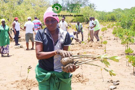 Twende Green Planet – 077