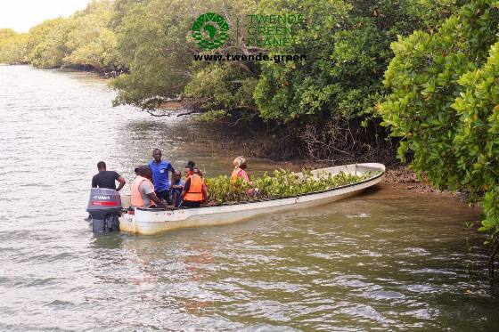 Twende Green Planet – 085