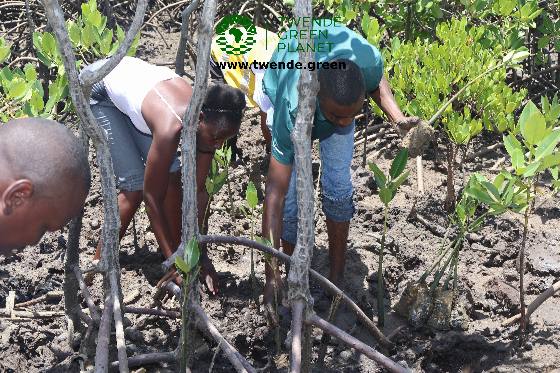 Twende Green Planet – 097