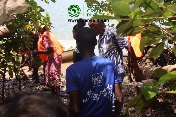 Twende Green Planet – 100