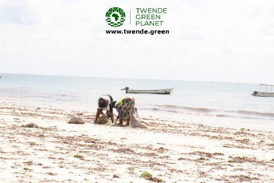 Twende Green Planet – 191