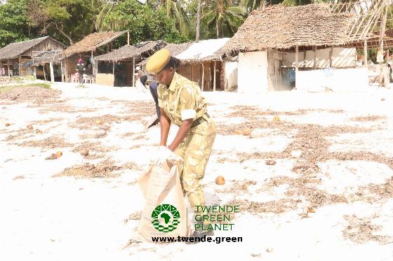 Twende Green Planet – 211
