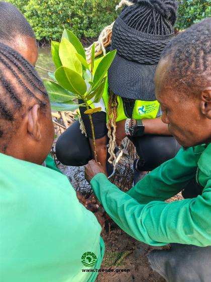 Twende Green Planet – 222